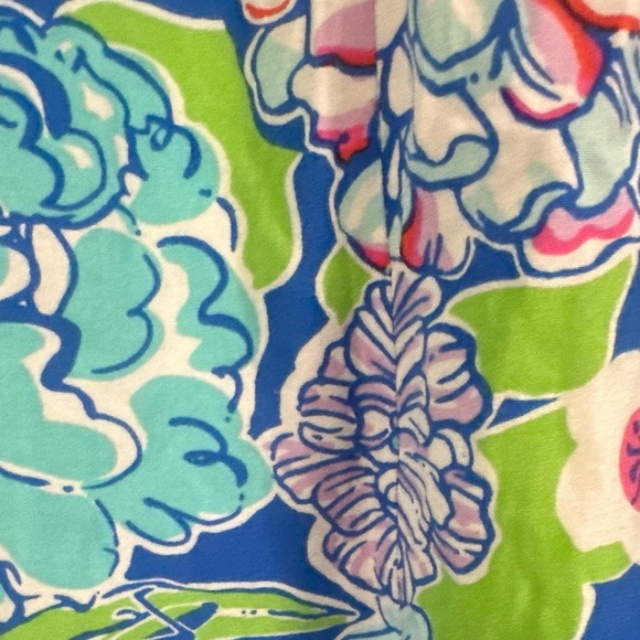 Lilly Pulitzer Maya Worth Blue May Flowers Floral Print Tie Waist Dress - Picture 14 of 14